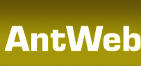 AntWeb